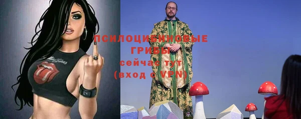 ПСИЛОЦИБИНОВЫЕ ГРИБЫ Заволжск