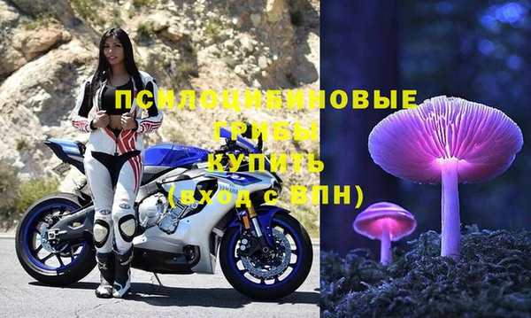 кокаин премиум Заводоуковск