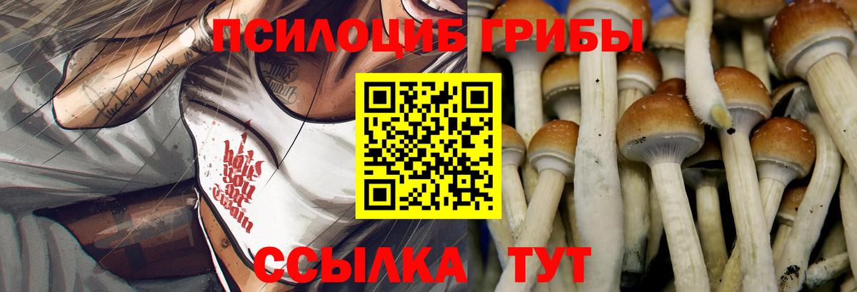 Можга  Псилоцибиновые грибы ЛСД  Вход с VPN 