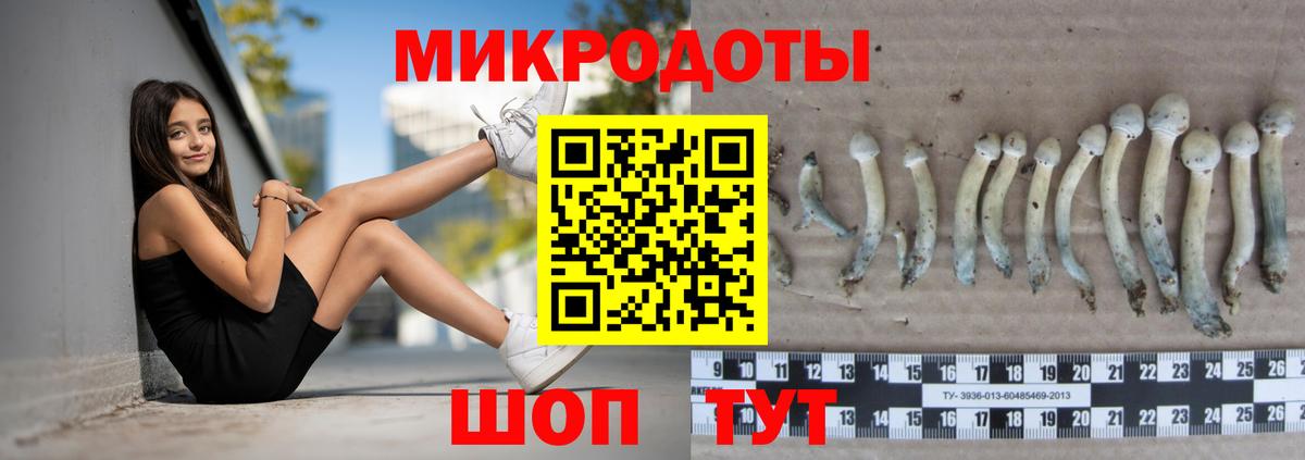 Галлюциногенные грибы Psilocybe Можга